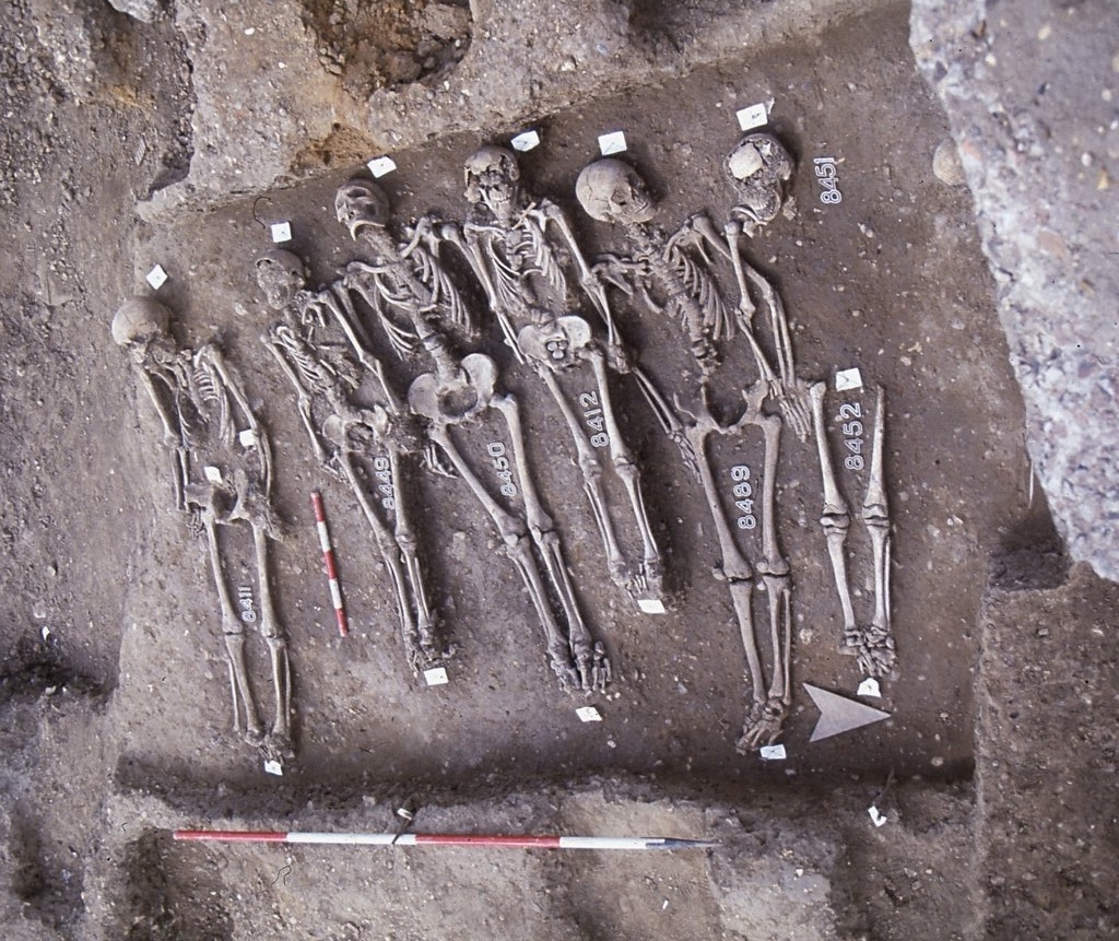 Scientists Solve DNA Puzzle Of The Black Death — McMaster Ancient DNA ...